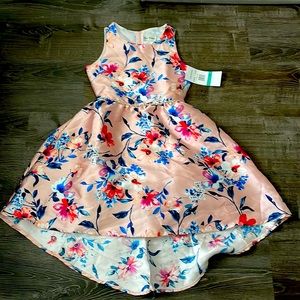 NWT Rare Edition Floral Blush Pink Dress Size 16